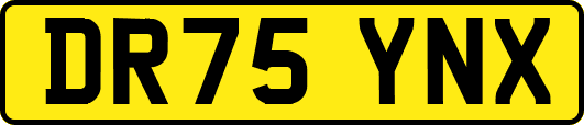 DR75YNX