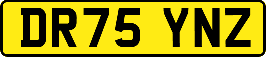 DR75YNZ