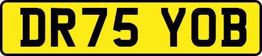 DR75YOB