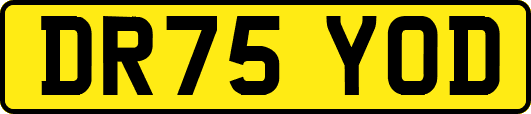 DR75YOD