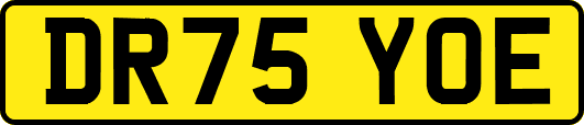 DR75YOE