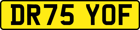 DR75YOF