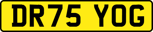 DR75YOG