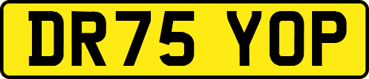 DR75YOP