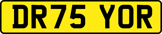 DR75YOR