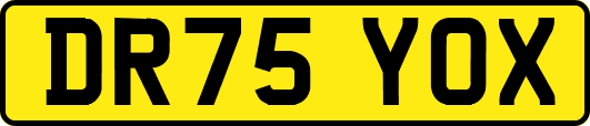 DR75YOX