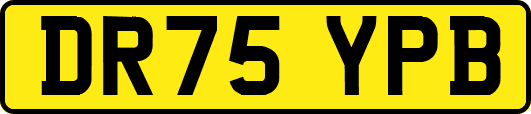 DR75YPB