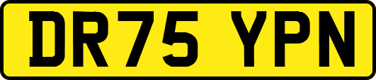 DR75YPN
