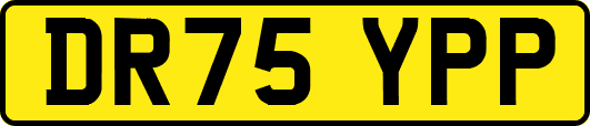 DR75YPP