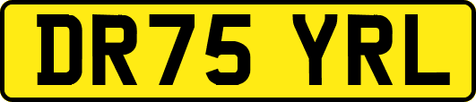 DR75YRL