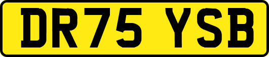 DR75YSB