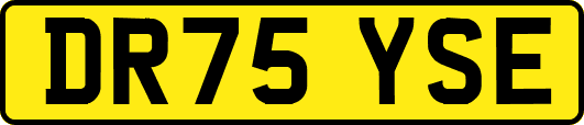 DR75YSE