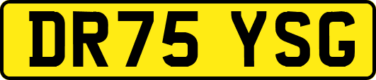 DR75YSG