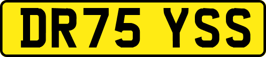 DR75YSS