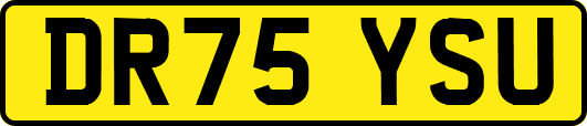 DR75YSU