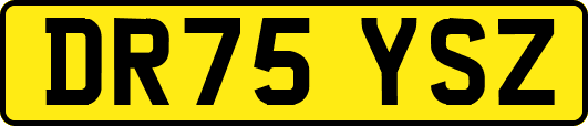 DR75YSZ