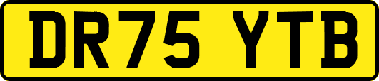 DR75YTB