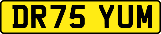 DR75YUM