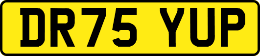DR75YUP