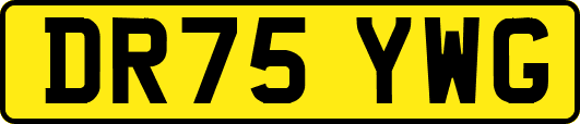 DR75YWG