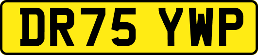 DR75YWP