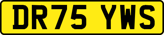 DR75YWS
