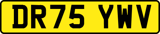 DR75YWV