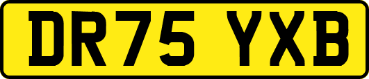 DR75YXB