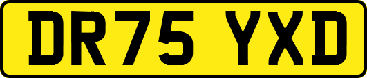 DR75YXD