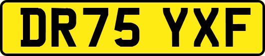 DR75YXF
