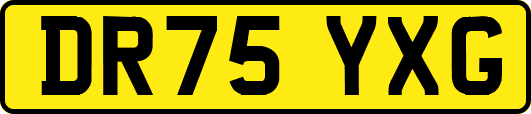 DR75YXG
