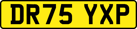 DR75YXP