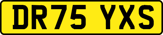 DR75YXS