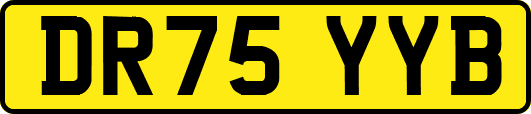 DR75YYB
