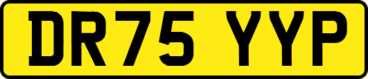 DR75YYP