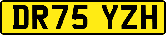 DR75YZH