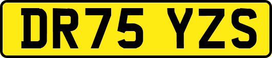 DR75YZS