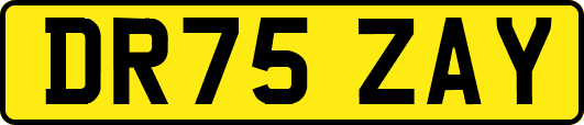 DR75ZAY