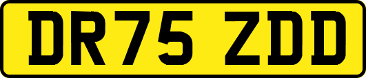 DR75ZDD