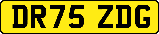 DR75ZDG