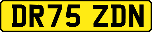 DR75ZDN