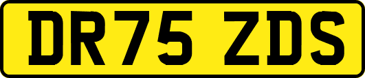 DR75ZDS