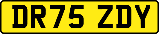 DR75ZDY