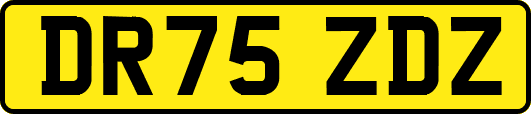 DR75ZDZ