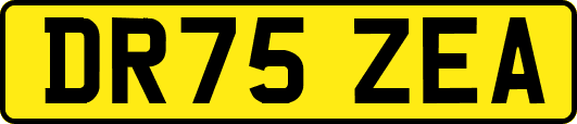 DR75ZEA