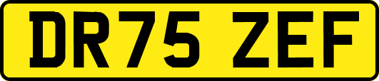 DR75ZEF