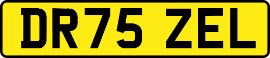 DR75ZEL