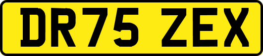 DR75ZEX
