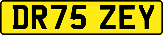 DR75ZEY