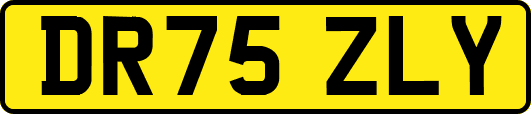 DR75ZLY